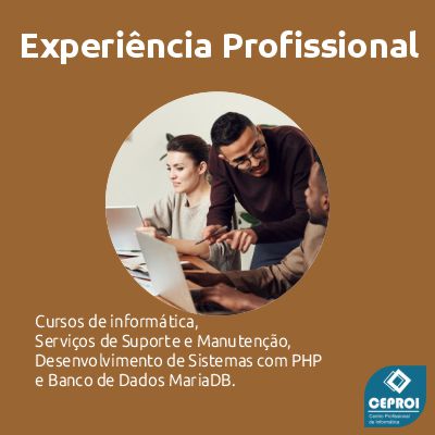 Experiência Profissional!